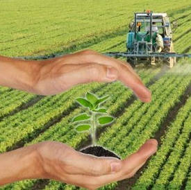 Гербіциди суцільної дії