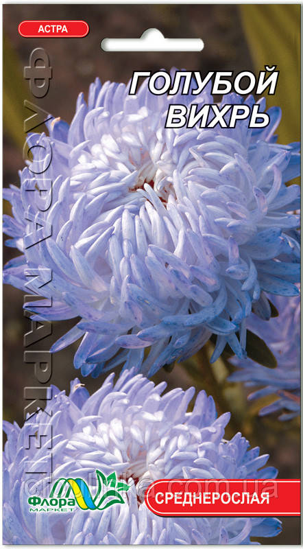 Флора Маркет. Насіння Астра Блакитний вихор 0.3 г, фото 1
