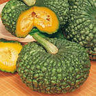 Гарбуз Марина ді Кьожа (мускатний) Італія 10 г, фото 2