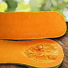 Гарбуз Лунга Піена ді Наполі 10 шт (zip-paket), фото 5