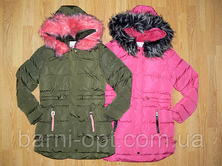 Куртки подовжені для дівчаток оптом, Glass Bear, 134-164рр., 8Y-003+, фото 2