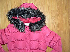 Куртки подовжені для дівчаток оптом, Glass Bear, 134-164рр., 8Y-003+, фото 2