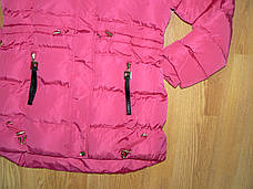 Куртки подовжені для дівчаток оптом, Glass Bear, 134-164рр., 8Y-003+, фото 3
