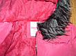 Куртки подовжені для дівчаток оптом, Glass Bear, 134-164рр., 8Y-003+, фото 4