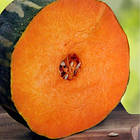 Гарбуз Лунга Піена ді Наполі 10 шт (zip-paket), фото 7