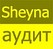 ТОВ "Бухгалтерська агенція Sheyna-аудит"