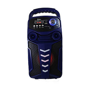 SENSATION - portable speaker (портативний динамік) LIGE-3610-DT