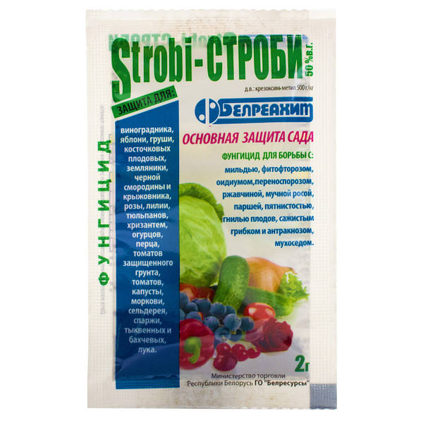 Фунгицид Строби 50% В.Г 2 Г - Купить По Лучшей Цене В.