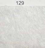 Бегонія, фото 9