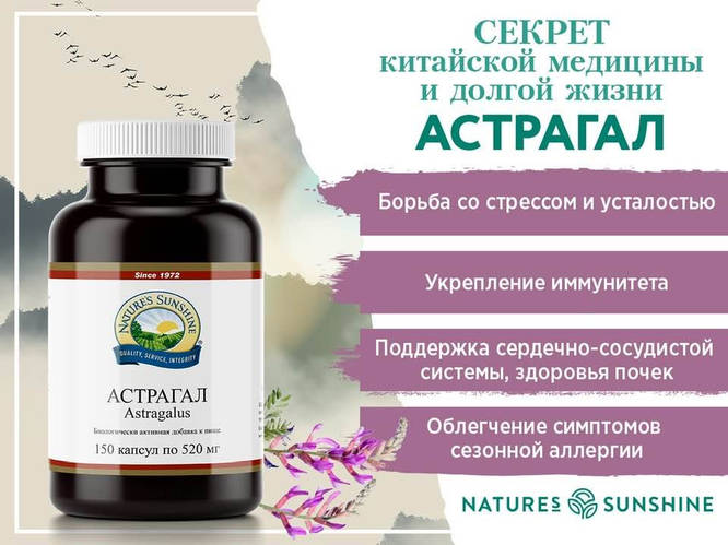 Астрагал БАД NSP