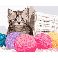 Набір в коробці, картина за номерами "Пухнастий кошеня", 40*50 см, SANTI