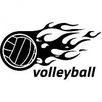 Вінілова наклейка на автомобіль - Волейбол | Volleyball v2