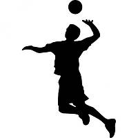 Вінілова наклейка на автомобіль - Волейболіст | Volleyball