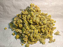 Безсмертник песчаный - Цмин пісковий.