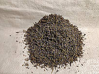 Лаванда, квітки