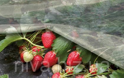 Агроволокно. Підбирай захисний матеріал вірно