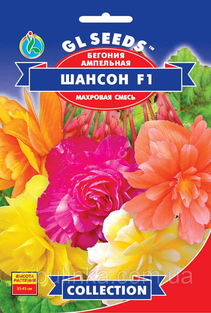 GL seeds Бегонія ампельна Шансон F1 суміш. 10 шт., фото 1