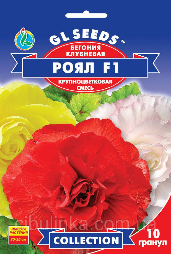 GL seeds Бегонія Рояль F1 суміш. 10 шт.