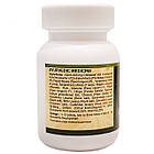 Читракади ваті (Chitrakadi Vati, SDM), 100 табл. - Аюрведа класу преміум, покращує апетит, фото 2