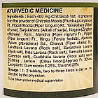 Читракади ваті (Chitrakadi Vati, SDM), 100 табл. - Аюрведа класу преміум, покращує апетит, фото 3