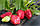 Агроволокно 50 г/м.кв, 1,60х100м чорне (Польща), агроволокно для полуниці, спанбонд, фото 3