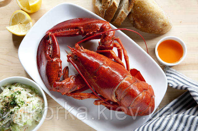 Омар з доставкою, великі розміри, кращі ціни Живий лобстер або омар за найкращою ціною