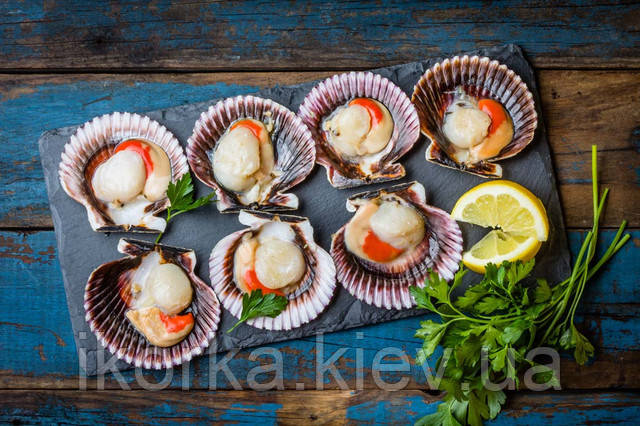 Мясо Гребешка по лучшей цене