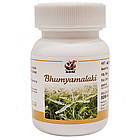 Бхуміамілаки (Bhumyamalaki Capsules, SDM), 40 капсул — екстракт Філанус Нірурі 500 мг, фото 5