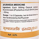 Бхуміамілаки (Bhumyamalaki Capsules, SDM), 40 капсул — екстракт Філанус Нірурі 500 мг, фото 4