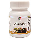 Амалаки капсули (Amalaki Capsules, SDM), 40 капсул — Аюрведа преміум'якості, фото 5