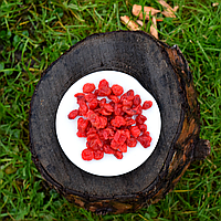 Вишня в'ялена