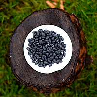 Квасоля чорна