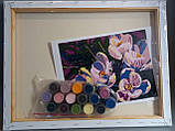 Набір-стандарт, картина за номерами, „Квіти 2.43, 35х45см, ROSA START, фото 3