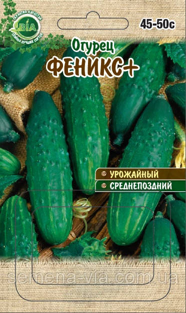 Насіння огірків "Фенекс плюс" 5 г. Насіння VIA