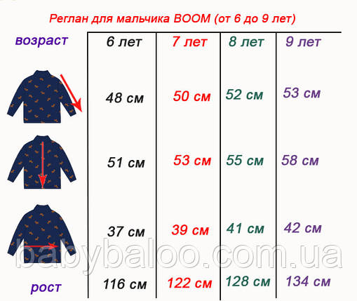 Реглан для хлопчика BOOM (від 6 до 9 років) - арт.1298150372, фото 2