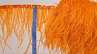 Тесьма из страусиных перьев, 9-11 см. Цвет - оранжевый