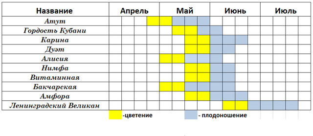 жимолость, таблиця дозрівання сортів жимолості, купити саджанці жимолості, жимолость їстівна, жимолость терміни дозрівання,https://klioma-servise.in.ua/ua/contacts