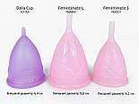 Менструальная чаша Femintimate Eve Cup размер S с переносным душем, диаметр 3,2см, Розовый 777Store.com.ua, фото 3