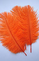 Страусиное перо 13-15 см. Цвет оранжевый