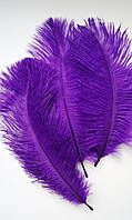 Страусиное перо 13-15 см. Цвет фиолетовый