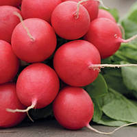 Редис Рондар, 1 г. (Власне фасування з оригінального упакування), (Syngenta).