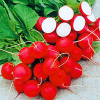 Редис Рудольф, 2 г. (Власне фасування з оригінального упакування), (Bejo Zaden).