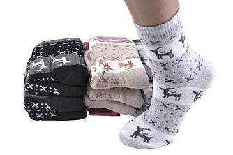 Жіночі Махрові шкарпетки "Житомир" з високою зручною гумкою 6 шт