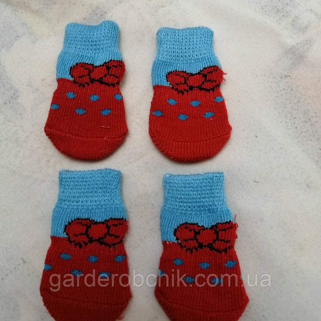 Шкарпетки для собаки "Бантики". Одяг для собак, фото 1