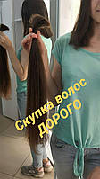 Купим Волосы Винница Самые Высокие Цены. Продать волосы. Скупка волос. Покупаем Дорого. Покупка Продажа