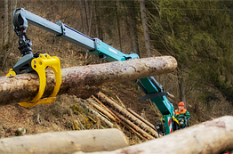 Маніпулятор для вантаження лісу ESSEL EC-145Z