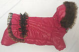 Комбінезон для собачок Гламур, розмір S, фото 3