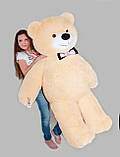 Плюшевий ведмедик Mister Medved Ларрі 160 см Бежевий, фото 3