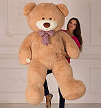 Плюшевий ведмедик Mister Medved Тедді 2 метри латте, фото 3