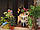 3D Румбокс Кафе "Coffee House" M027 DIY DollHouse, фото 7